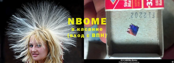 индика Зеленокумск