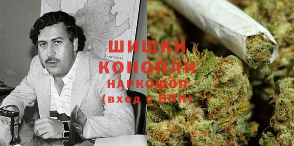 индика Зеленокумск