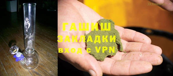 индика Зеленокумск