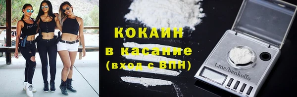 индика Зеленокумск
