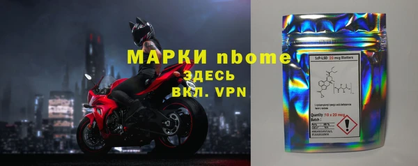 индика Зеленокумск