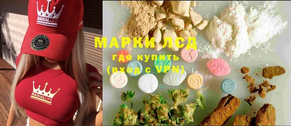 индика Зеленокумск