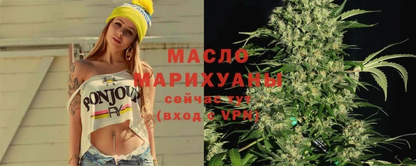 индика Зеленокумск
