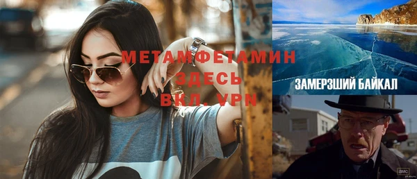 индика Зеленокумск