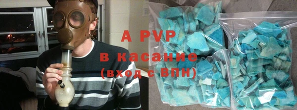 индика Зеленокумск